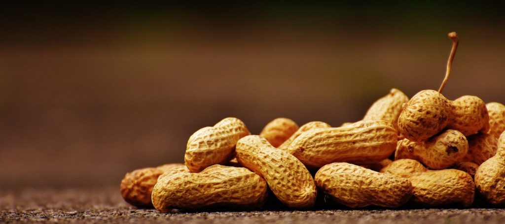 a pile of unshelled peanuts could cause food allergies in some