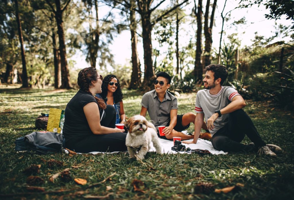 a group of friends and their dog have a picnic in a park